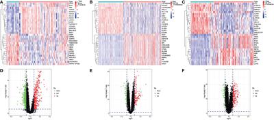 The use of bioinformatics methods to identify the effects of SARS-CoV-2 and influenza viruses on the regulation of gene expression in patients